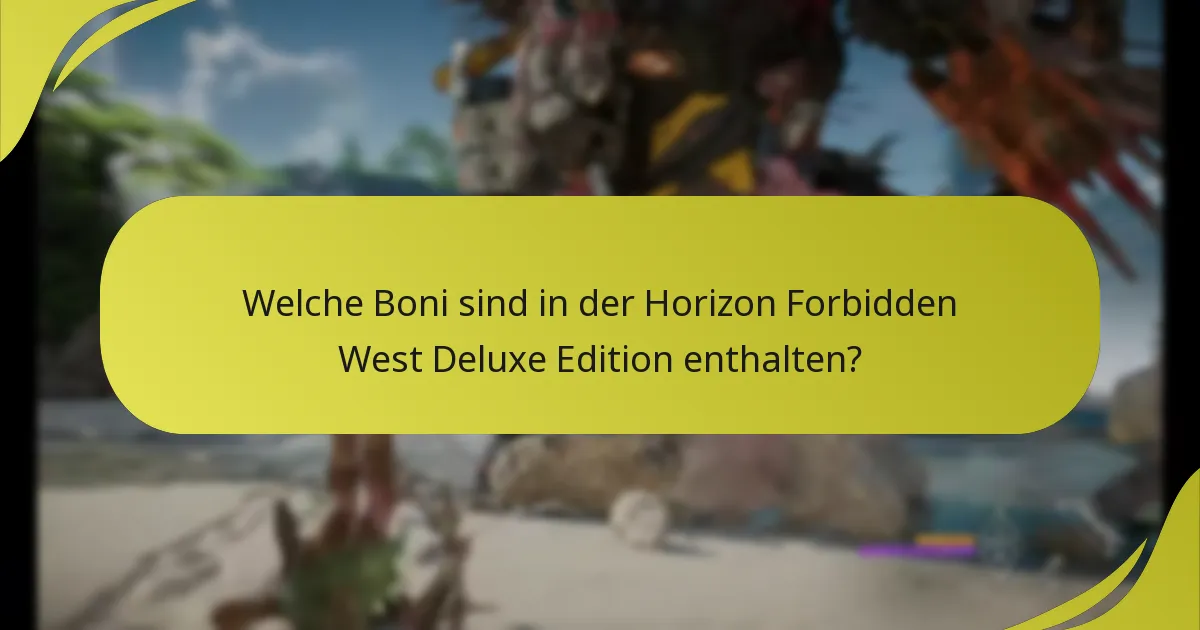 Welche häufigen Probleme haben Spieler mit der Deluxe Edition?