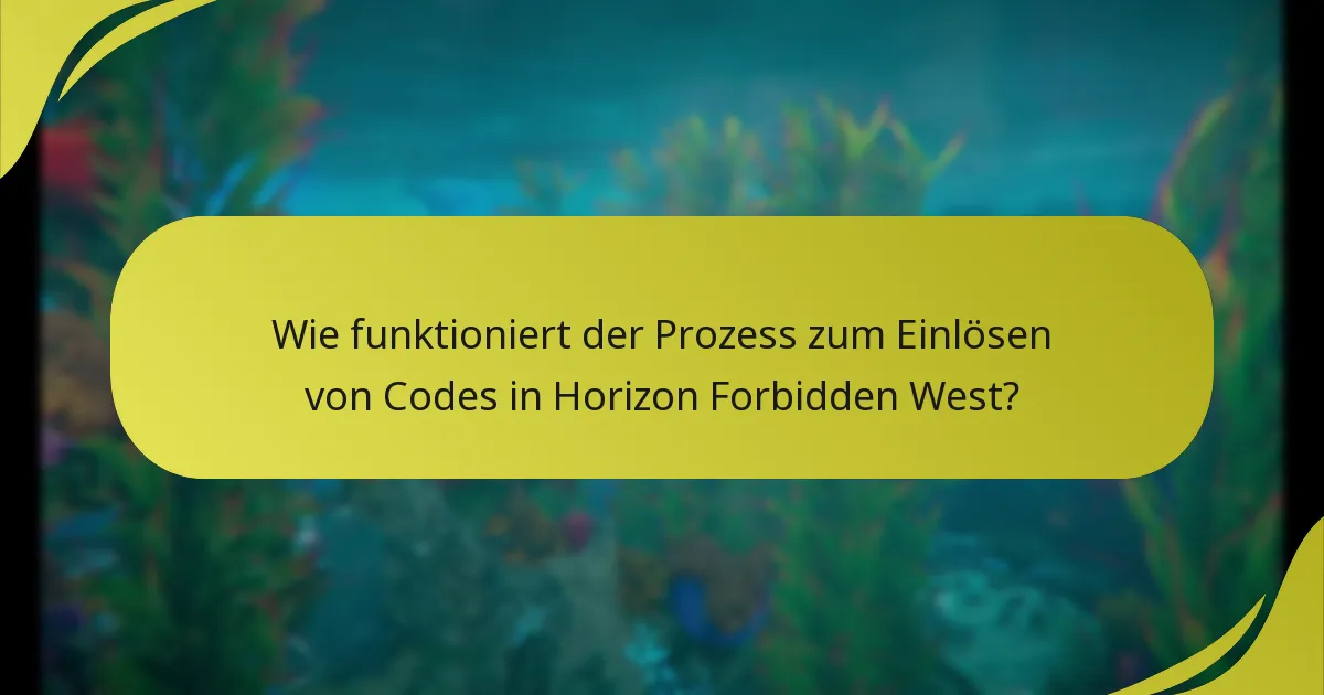 Was sind die häufigsten Probleme, die während des Einlösungsprozesses auftreten?